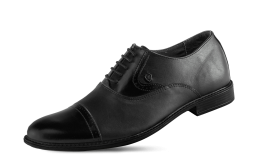 Male official shoes with ties снимка